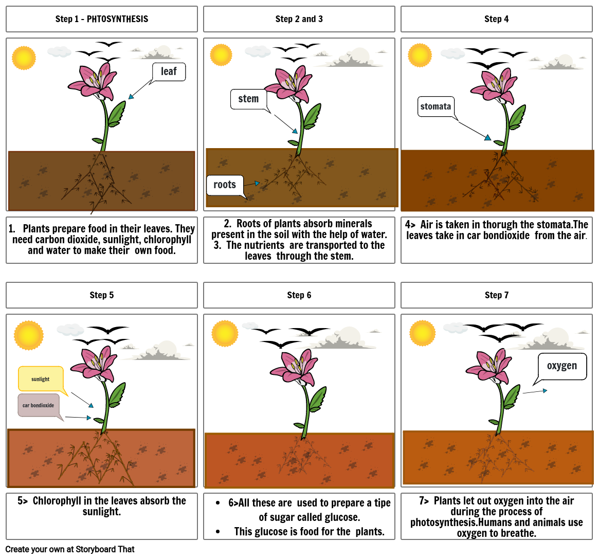 plant-storyboard-2ea5a0ca