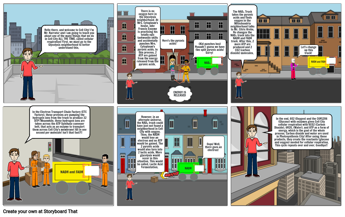 Cellular Respiration Book Storyboard by 2ef0b14c