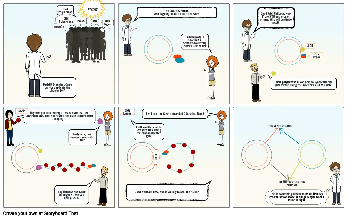 Rolling Circle Mode of Replication