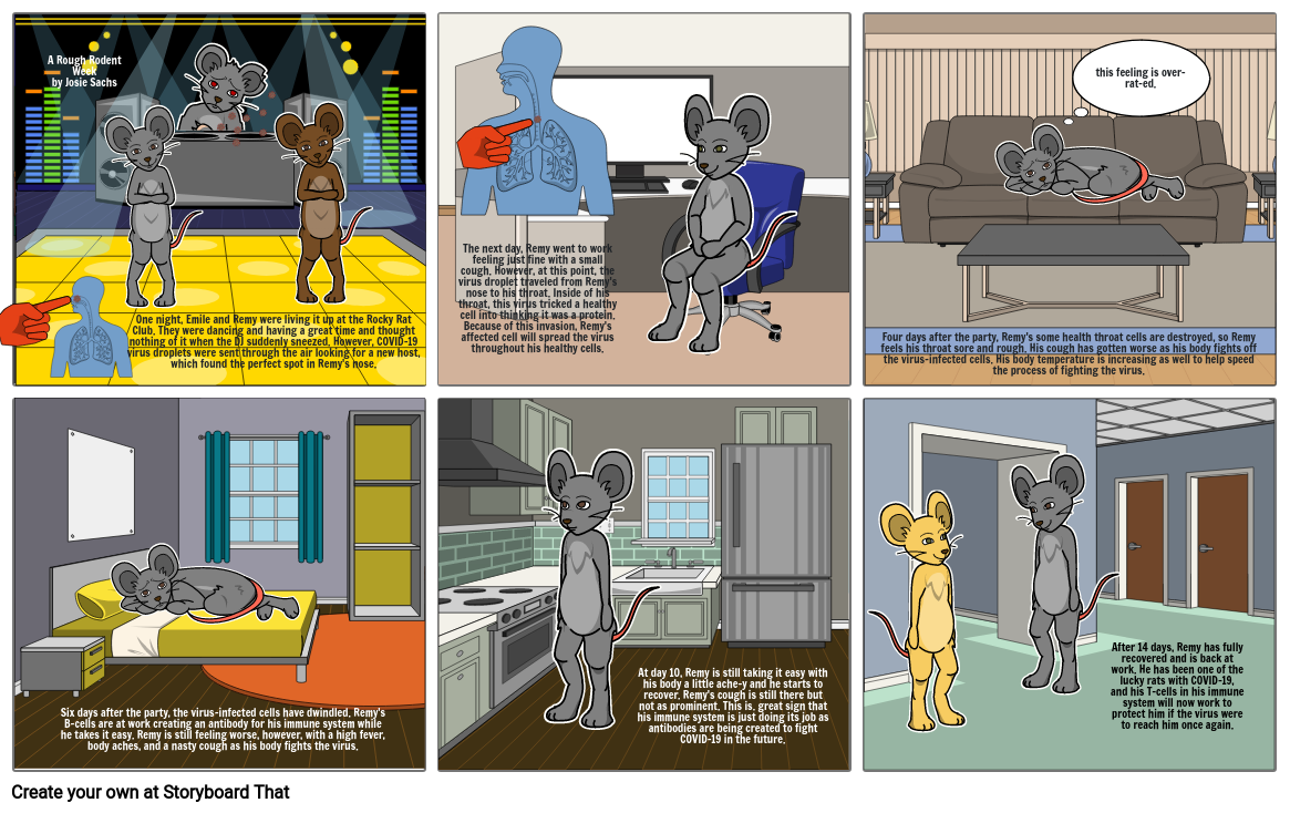 hbs storyboard