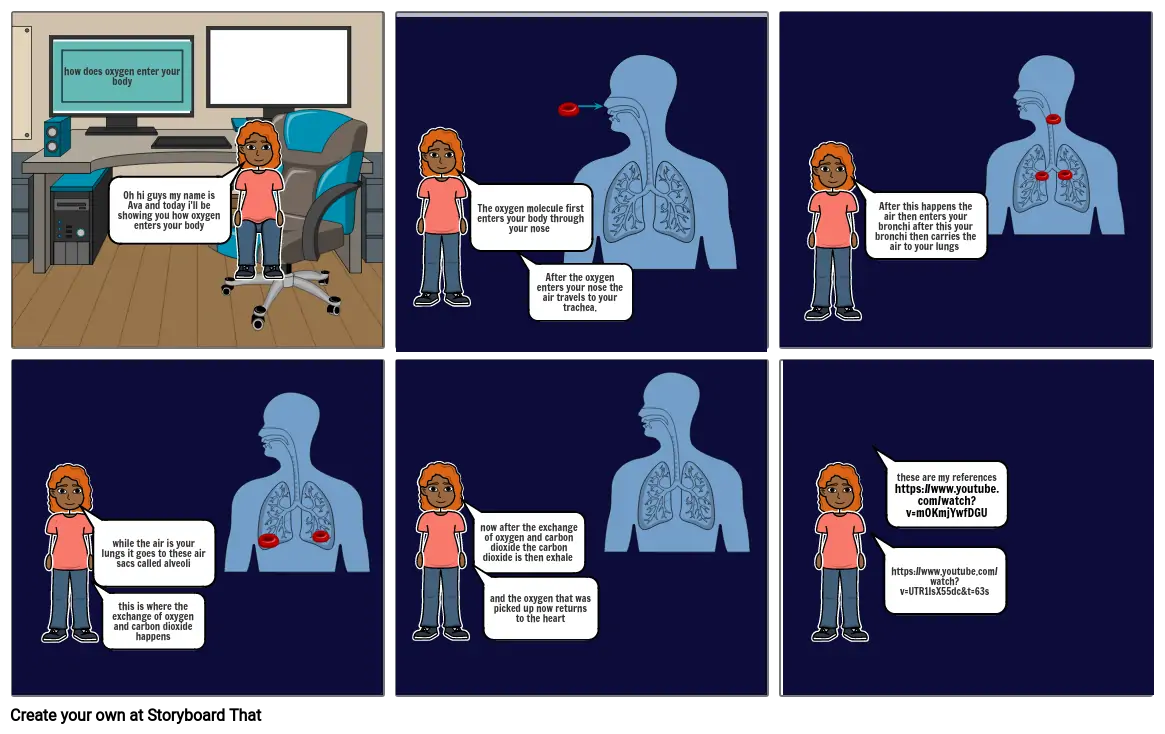 respiratory system