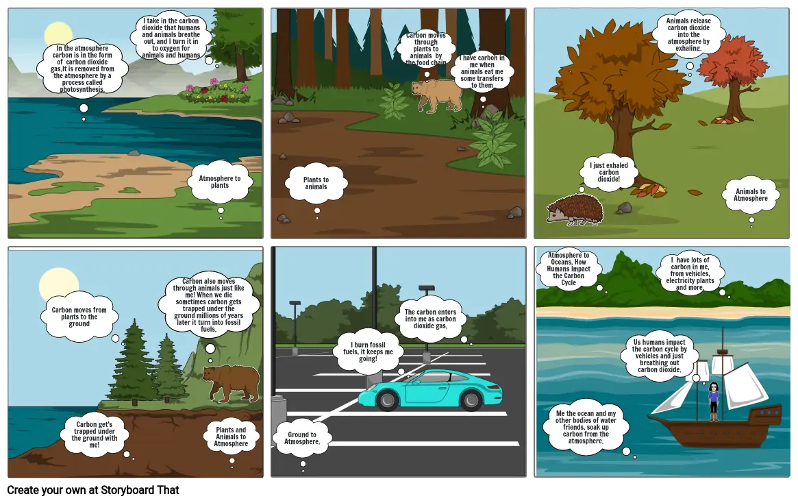 Carbon Cycle