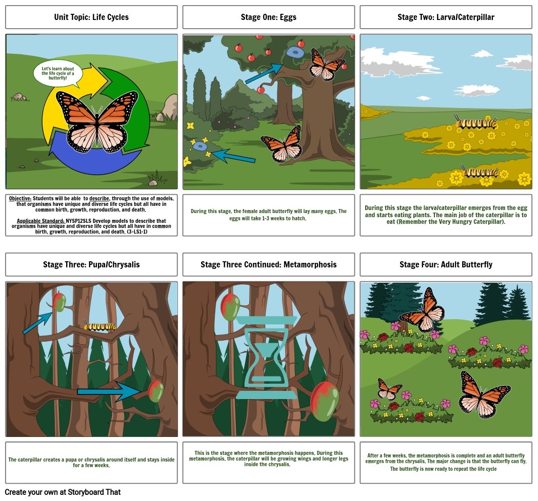 the-life-cycle-of-a-butterfly-storyboard-by-34080ac5