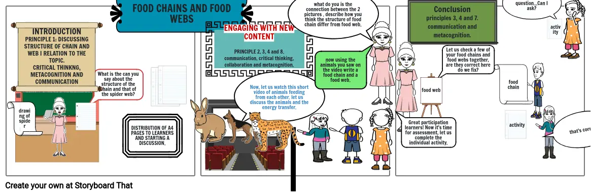 FOOD CHAINAND FOOD WEBS LESSON STORYBOARD