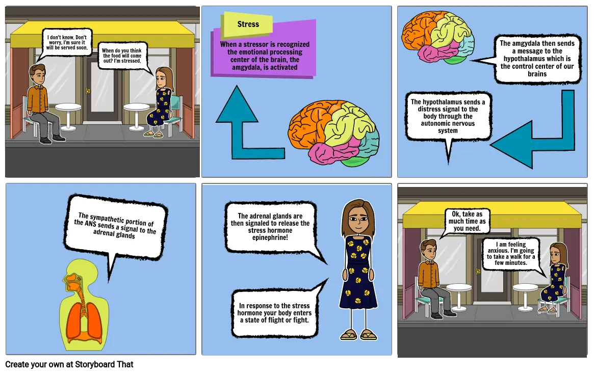 Stress Storyboard