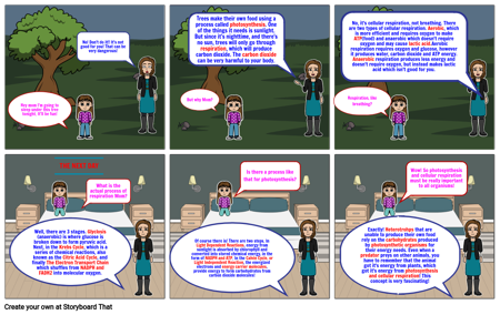 Cellular Respiration