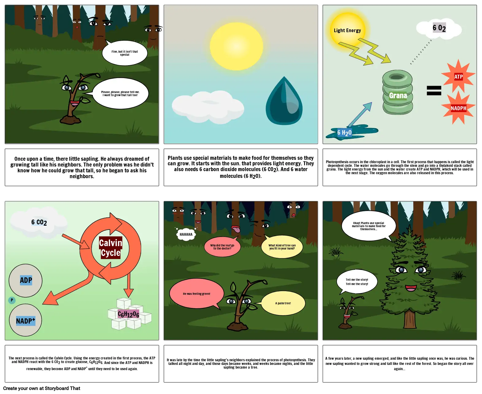 photosynthesis