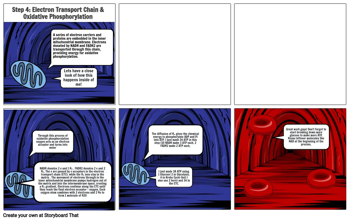 cellular respiration part 2