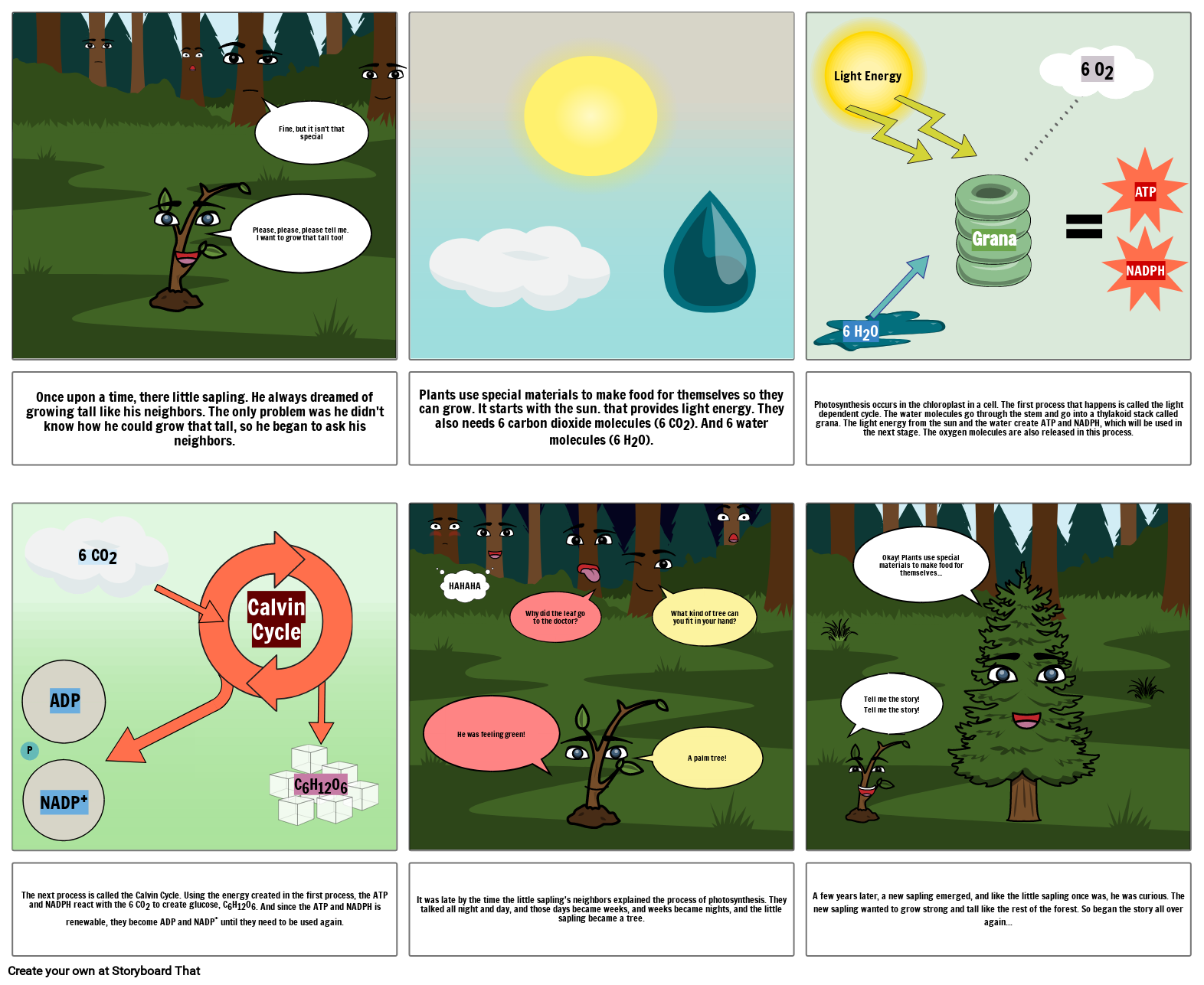 The Process of Photosynthesis Storyboard by 3881f7d5