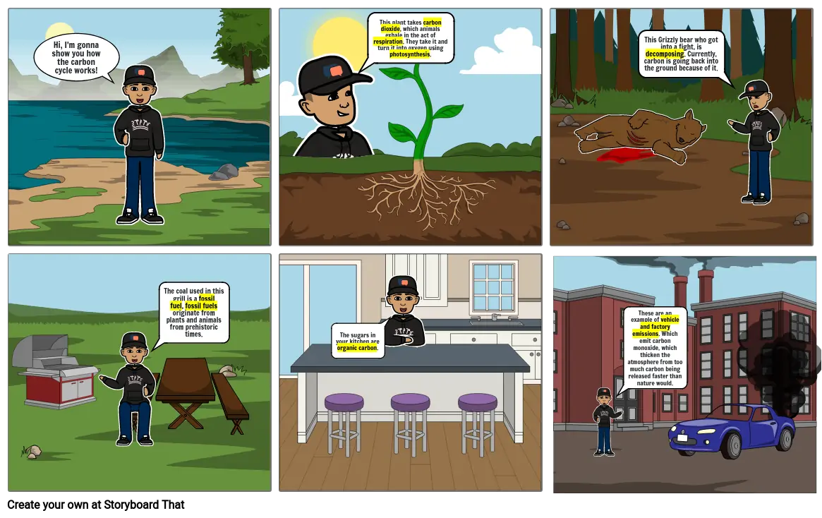 Carbon cycle