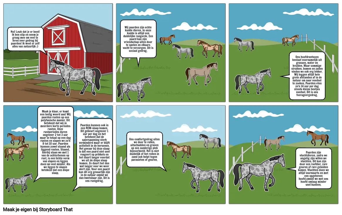 Storyboard paard natuurlijk gedrag