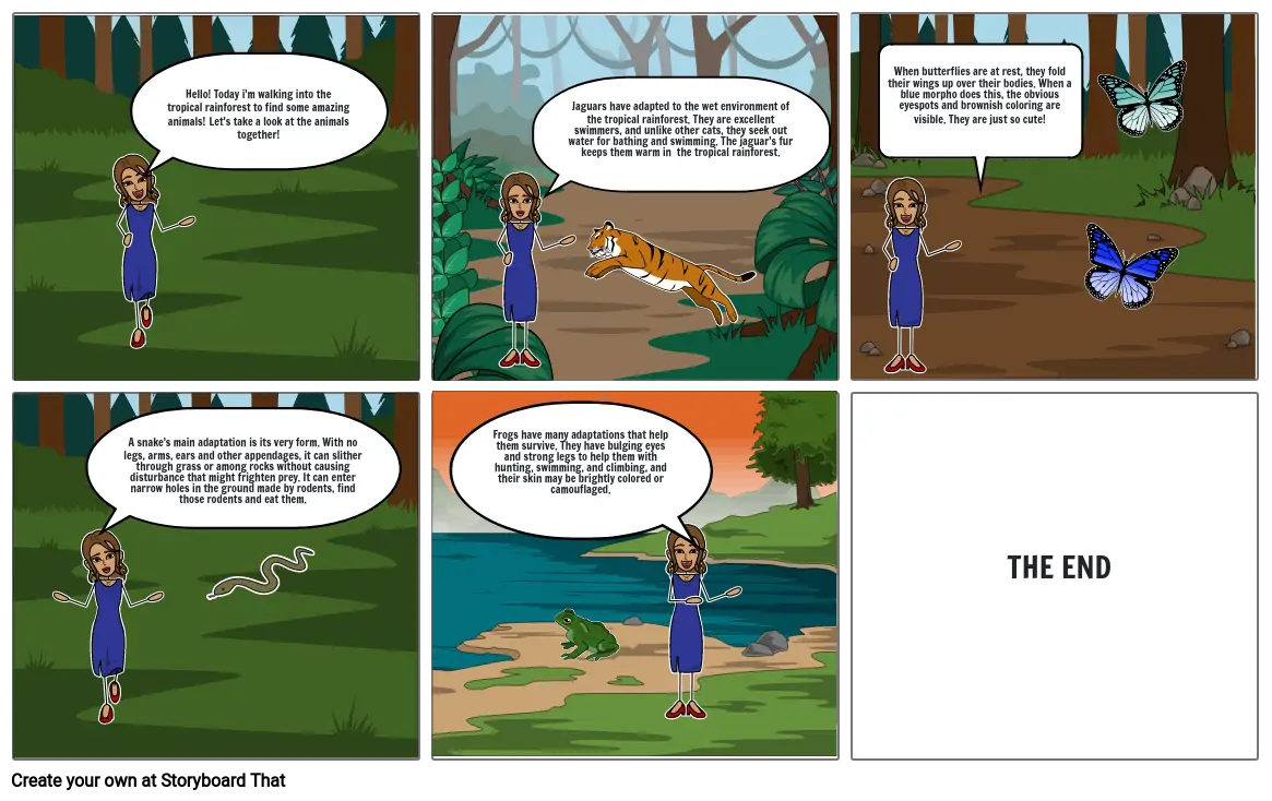 The Rainforest Ecosystem Story Board
