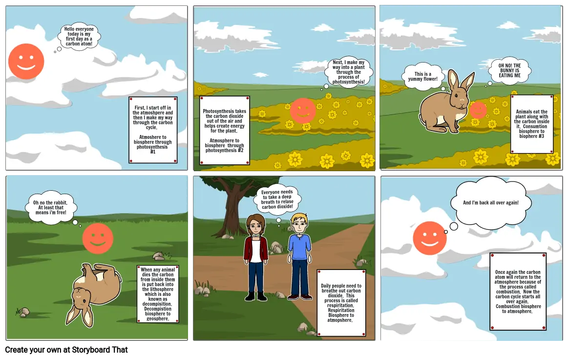 Carbon cycle