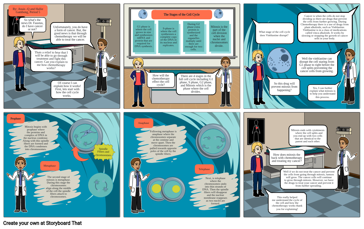 Chemotherapy and the Cell Cycle Project Storyboard