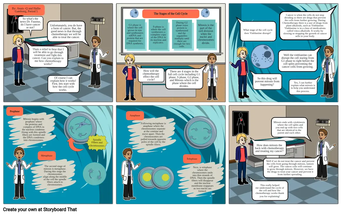 Chemotherapy and the Cell Cycle Project