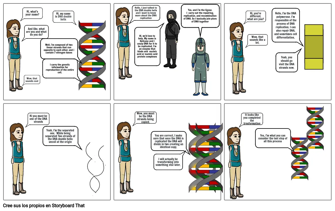 DNA replication storyboard Storyboard by 3b79091b