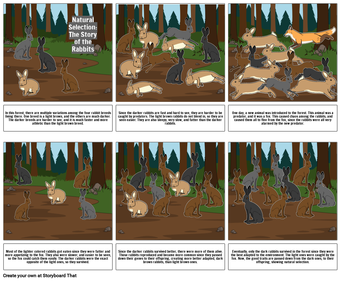 natural-selection-storyboard-por-3c327530