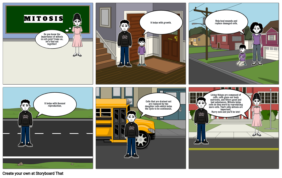 importance-of-mitosis-storyboard-by-3f6ccae3