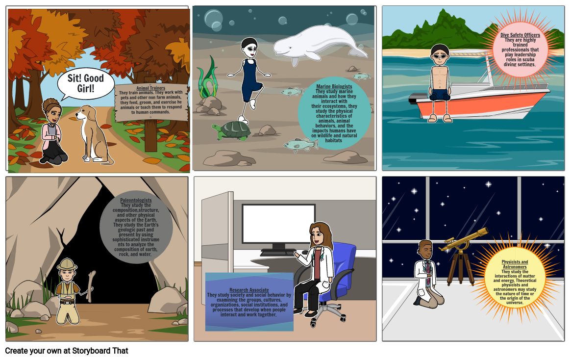 Career storyboard STEM project