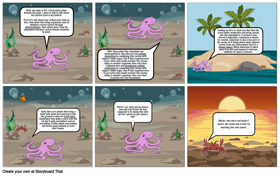 Carbon Cycle