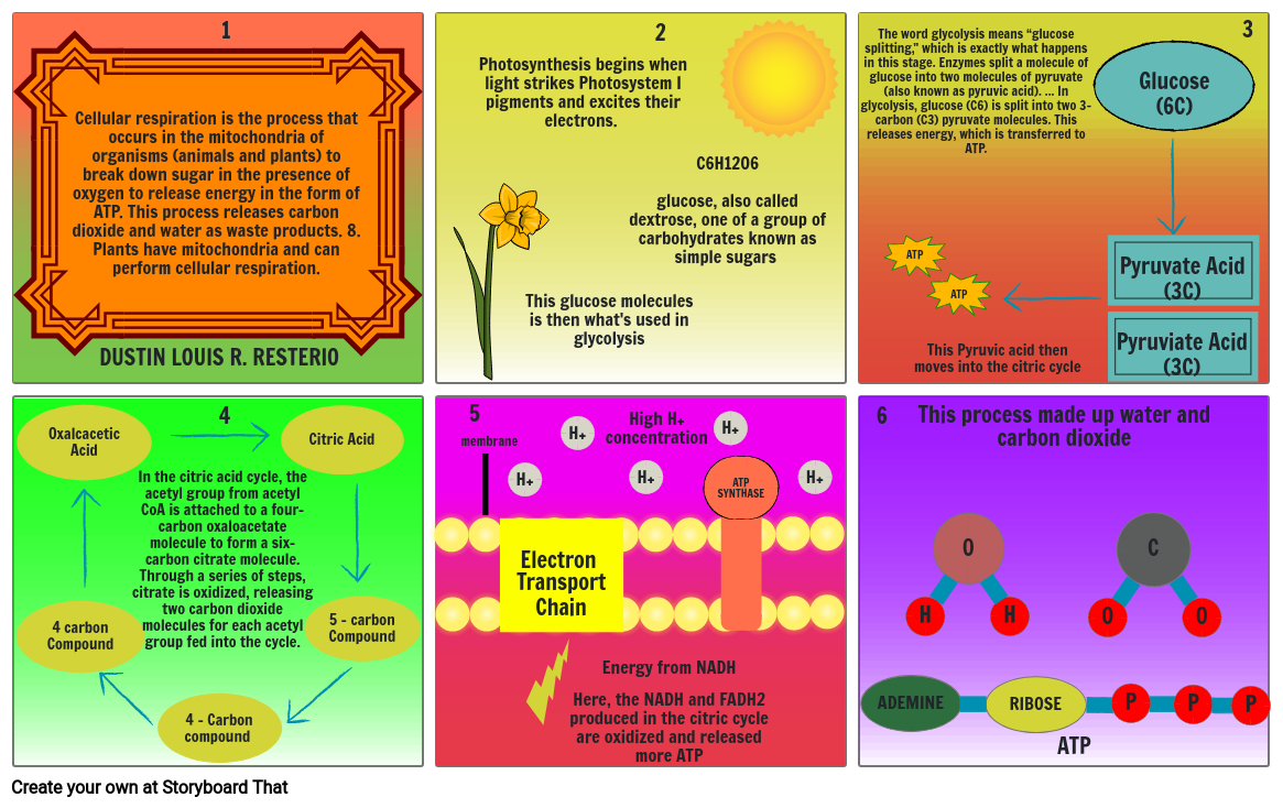 Storyboard Storyboard By 43786299