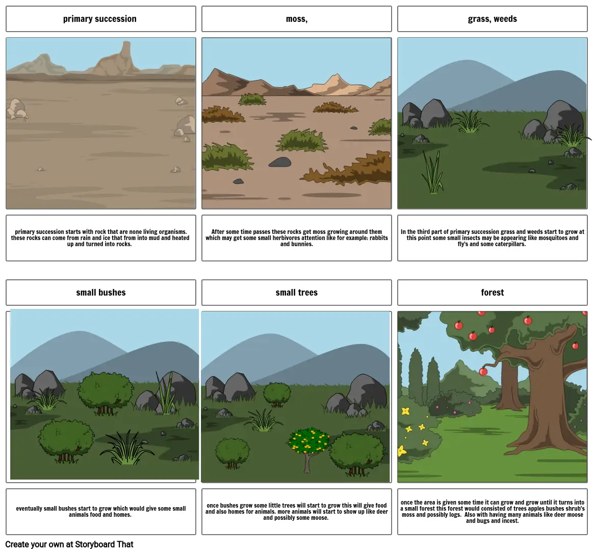 primary succession