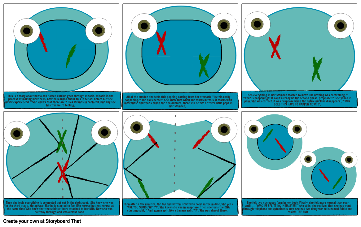 mitosis Storyboard por 43e46f48