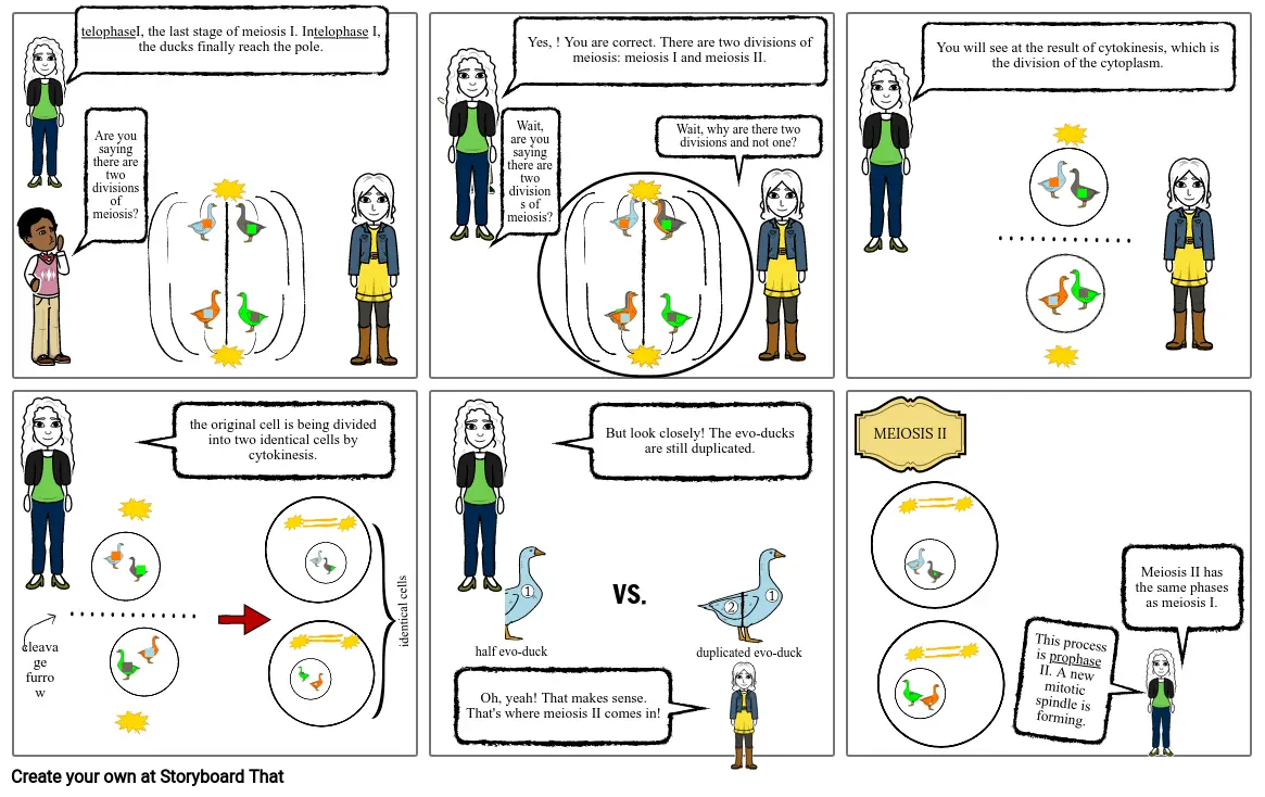 the mitosis story