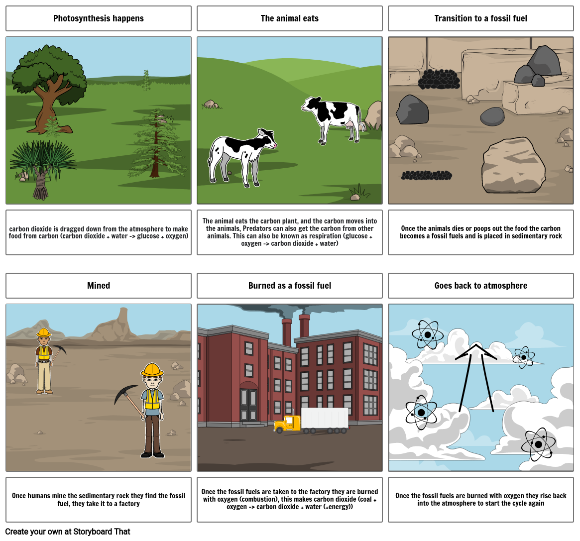 the-carbon-cycle-storyboard-by-4626c184