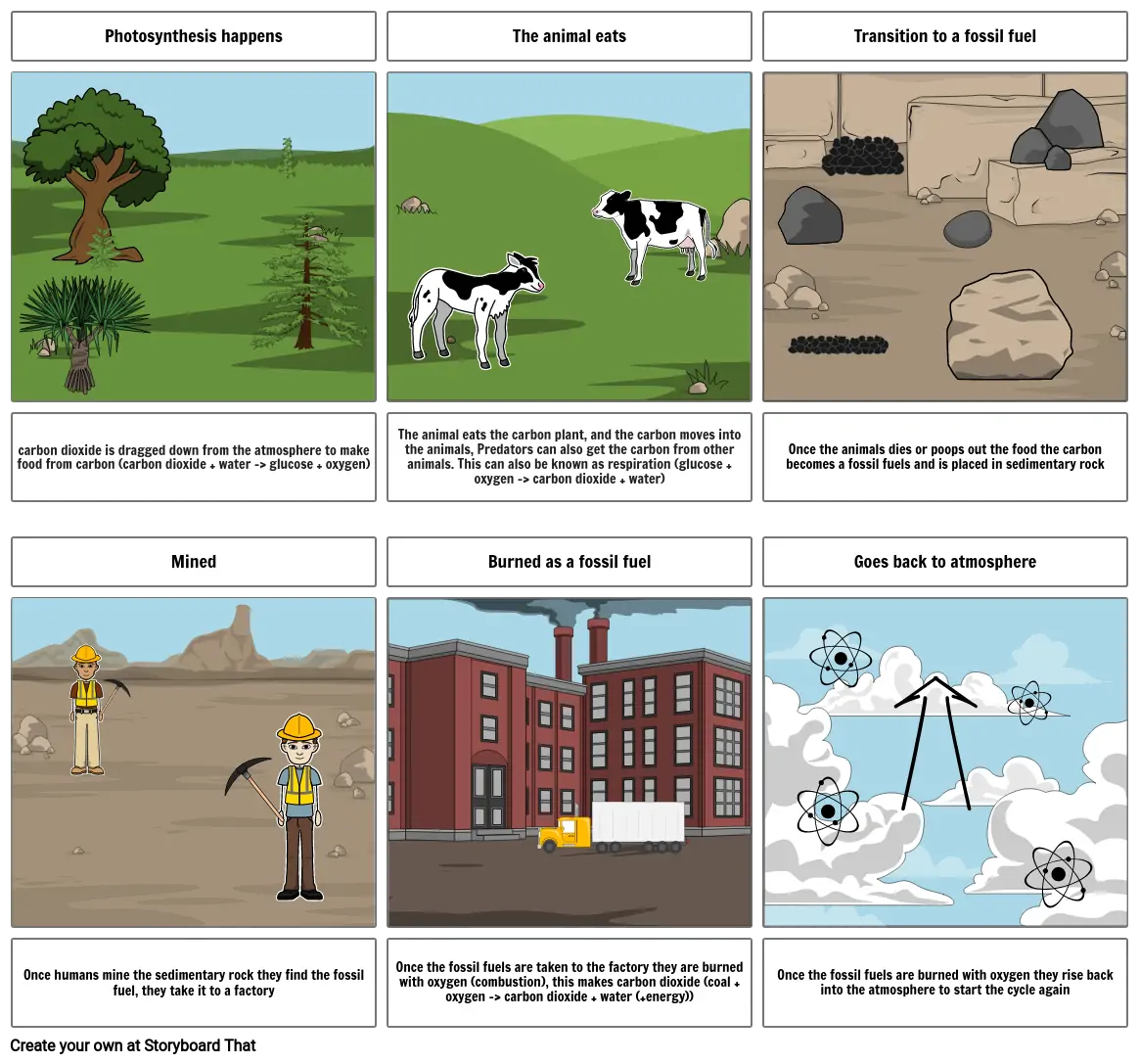 The Carbon Cycle