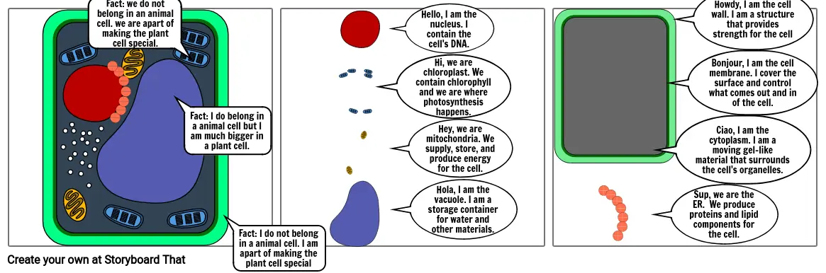 Plant cell