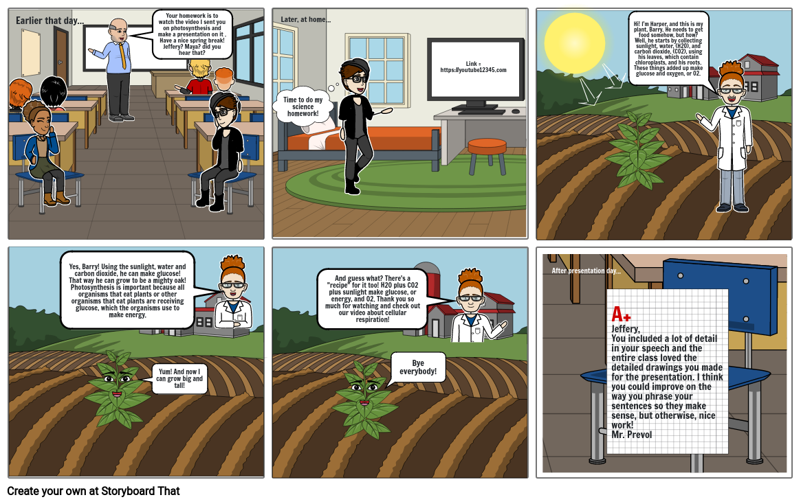 Photosynthesis Storyboard By 47af0aa7