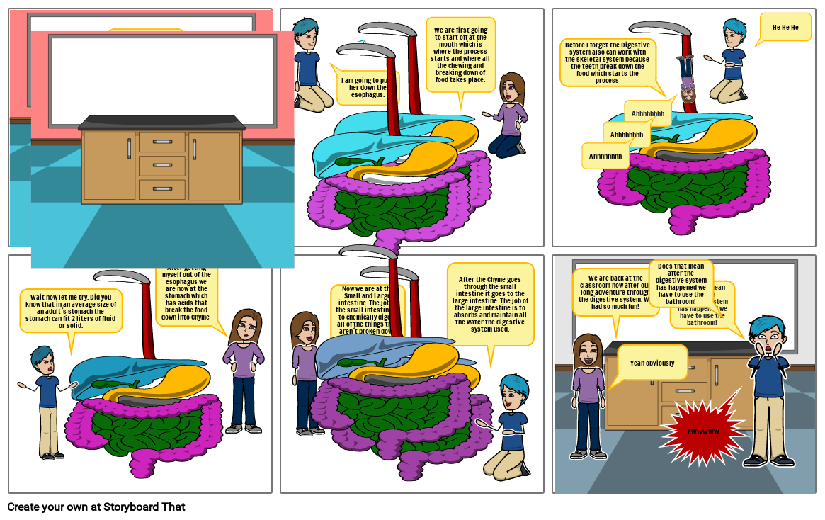 digestive-system-storyboard-por-47f24533