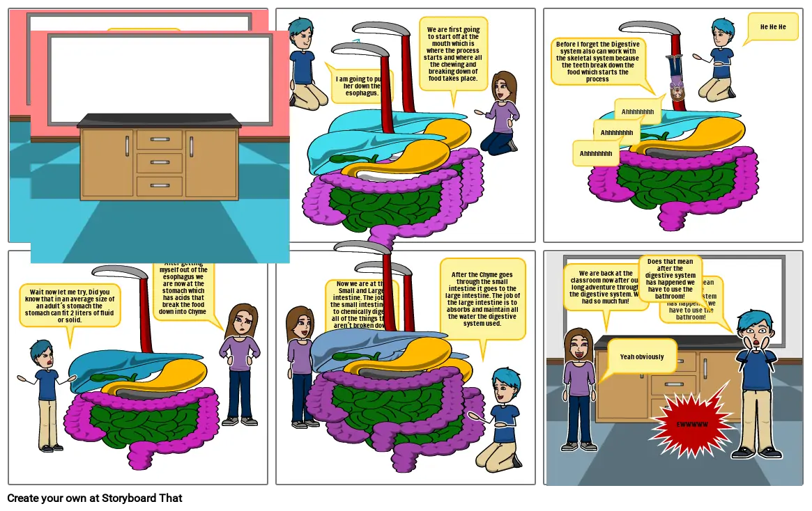 digestive system