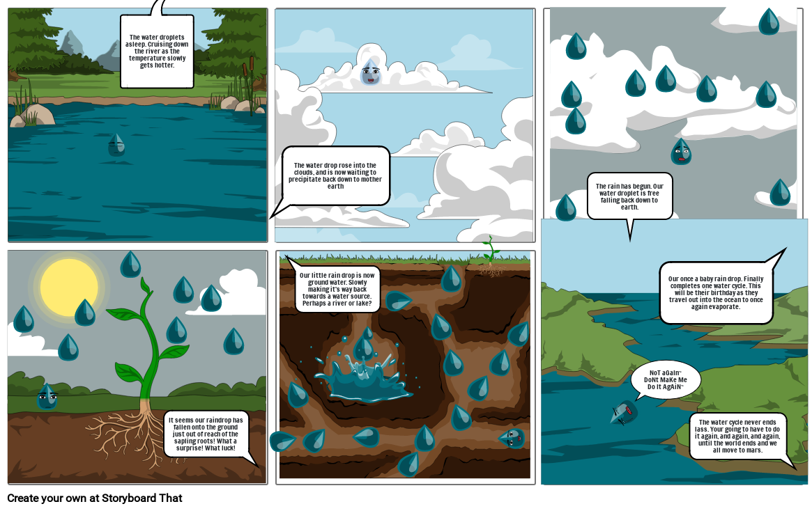 The life of the water cycle