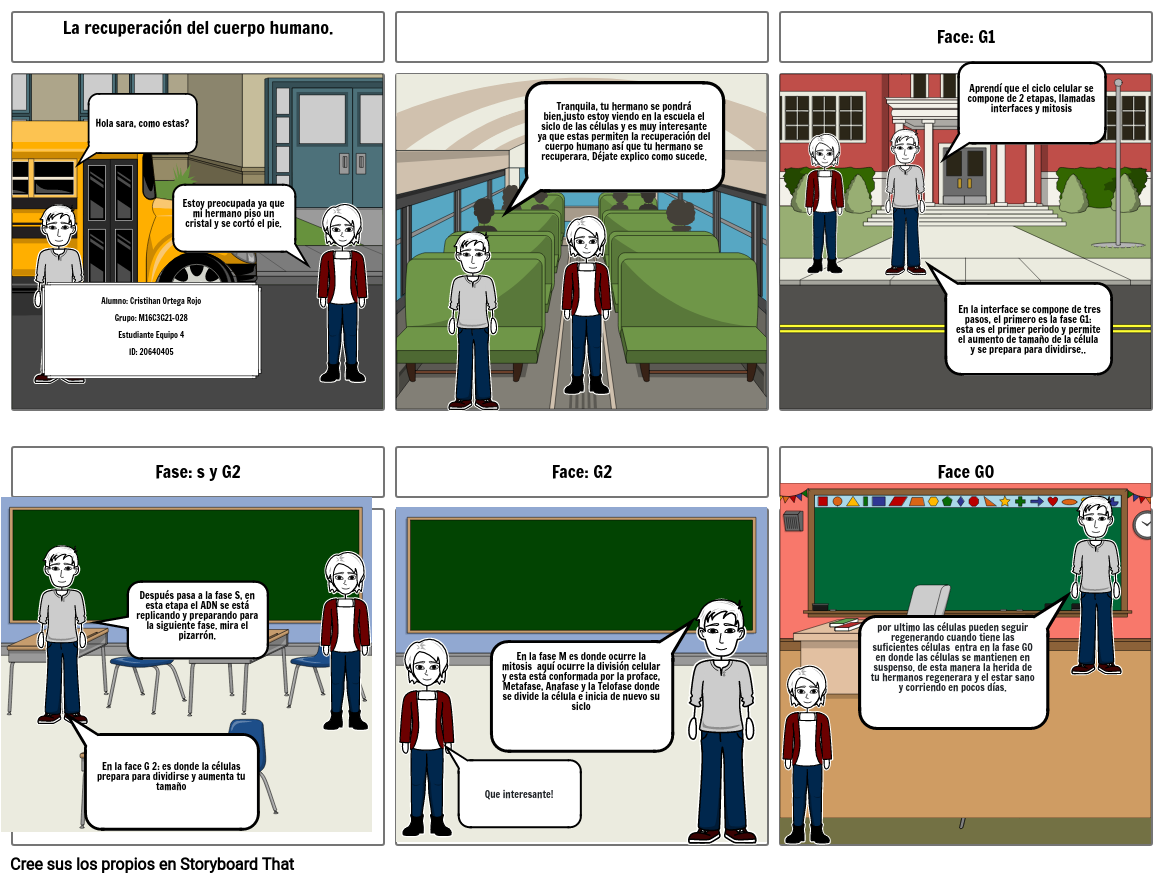 el ciclo de la celula Storyboard by 4a85ed51