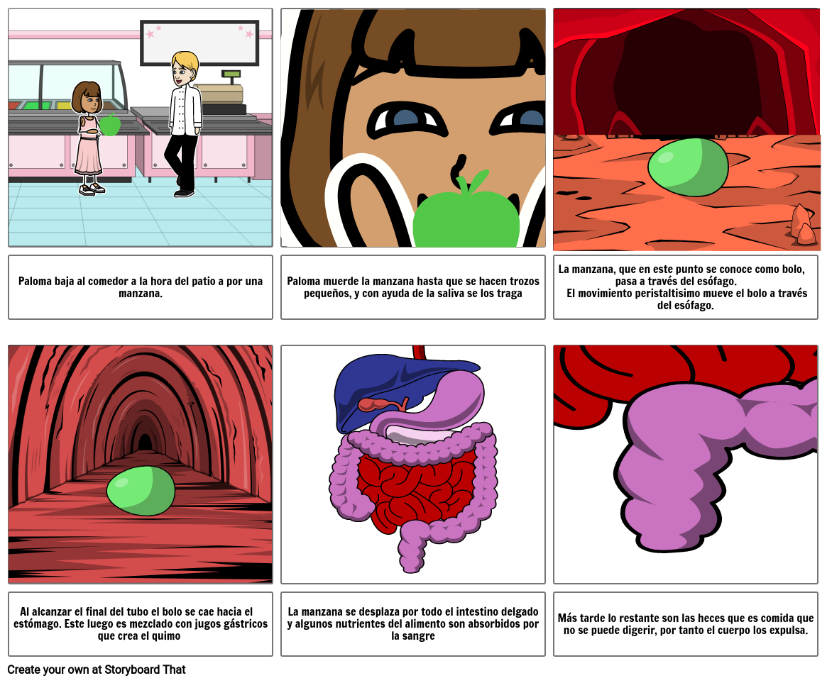 El Viaje De Los Alimentos Storyboard By 4b9bd8bc