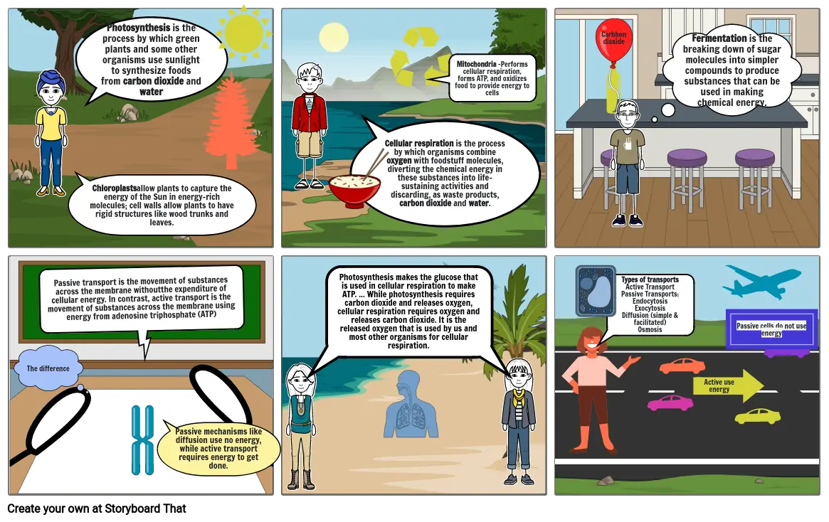 Unit 5 - Cell Energy and Transport Storyboard - Tyler McCoy