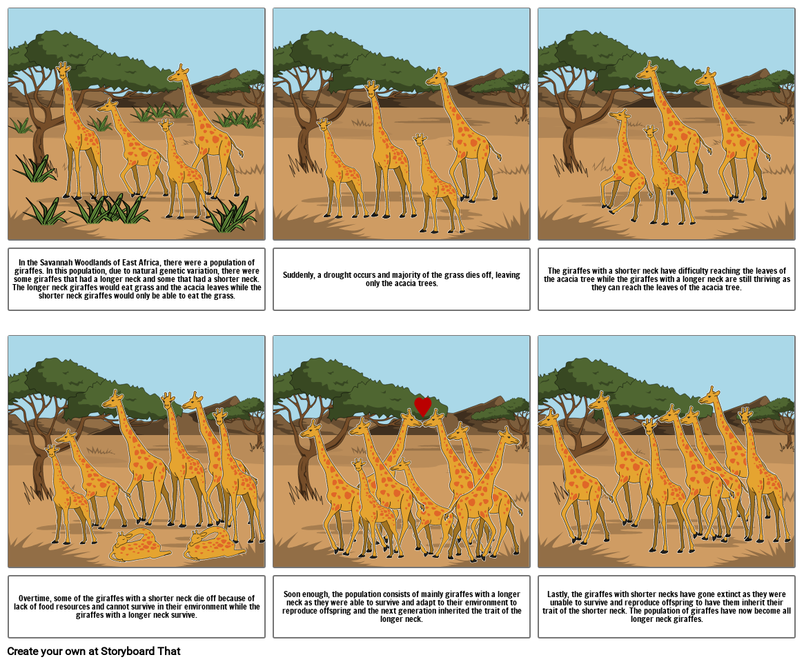 Evolution Of Giraffes Storyboard By Itzmilla - vrogue.co