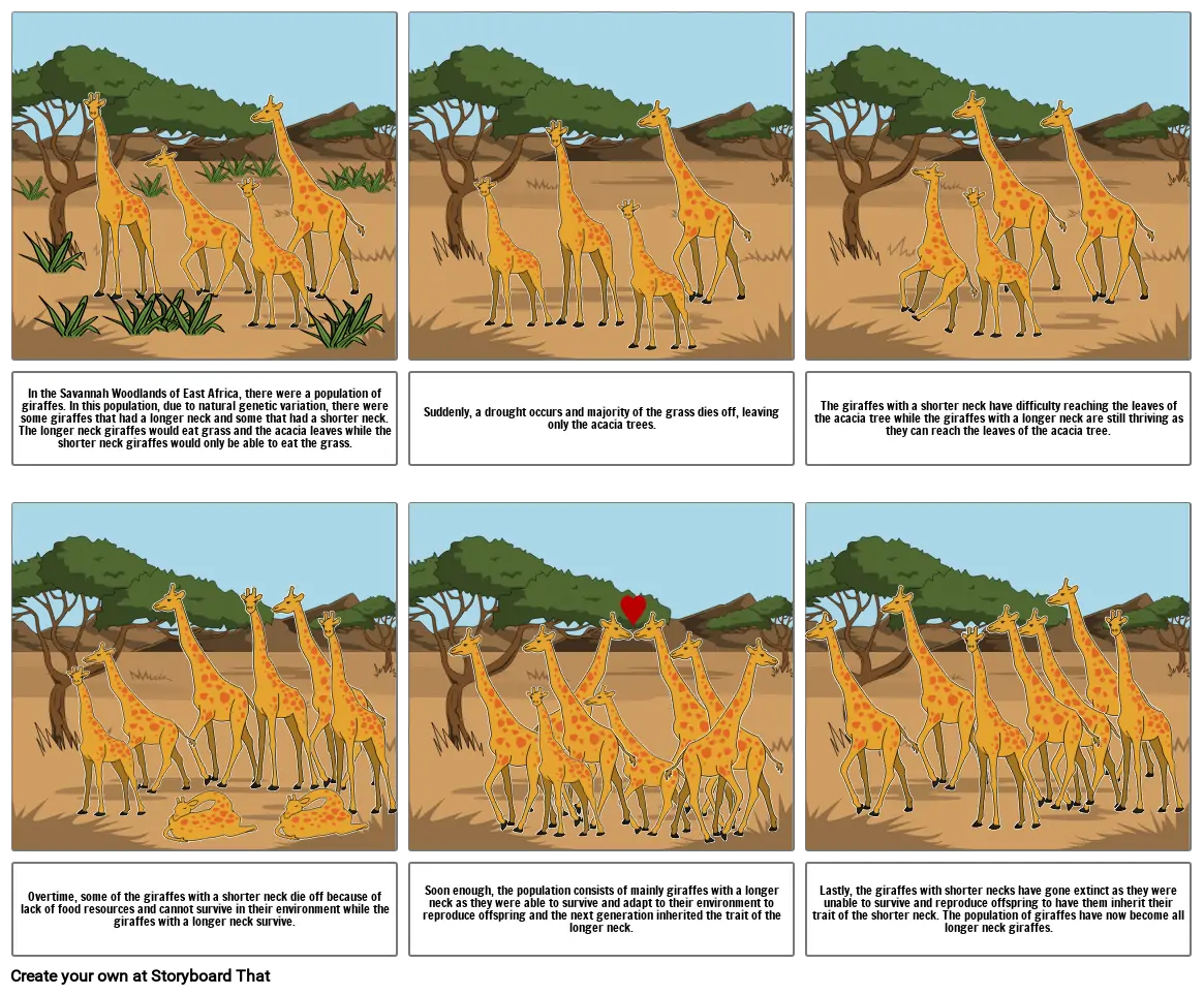 Natural Evolution of Giraffes