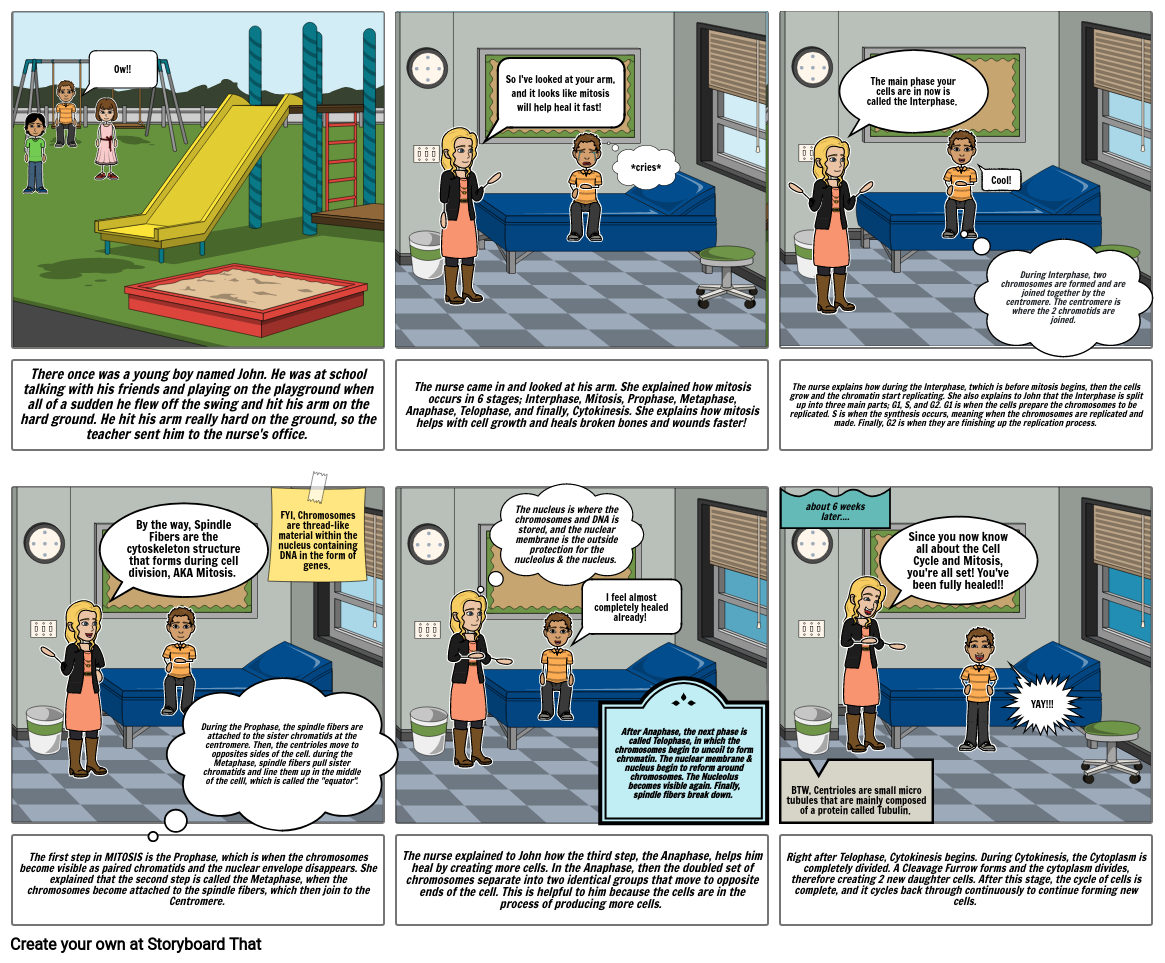 Biology Mitosis Comic Strip- Sana Rasheed 11D