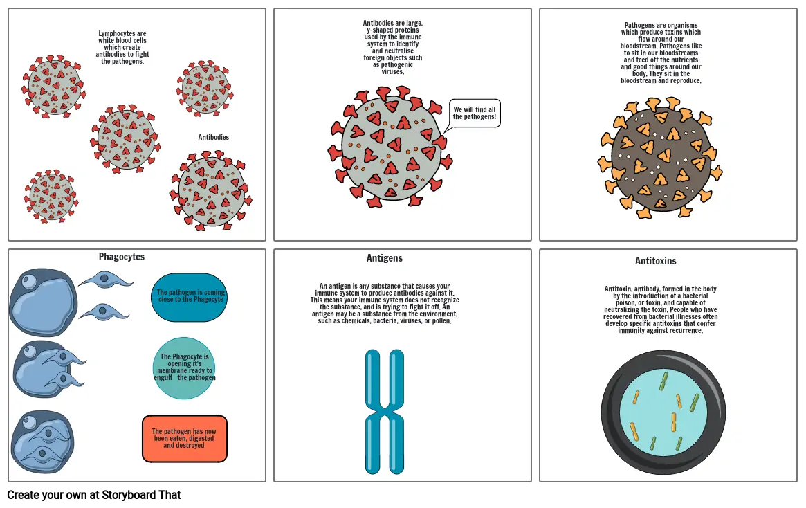 Biology storyboard