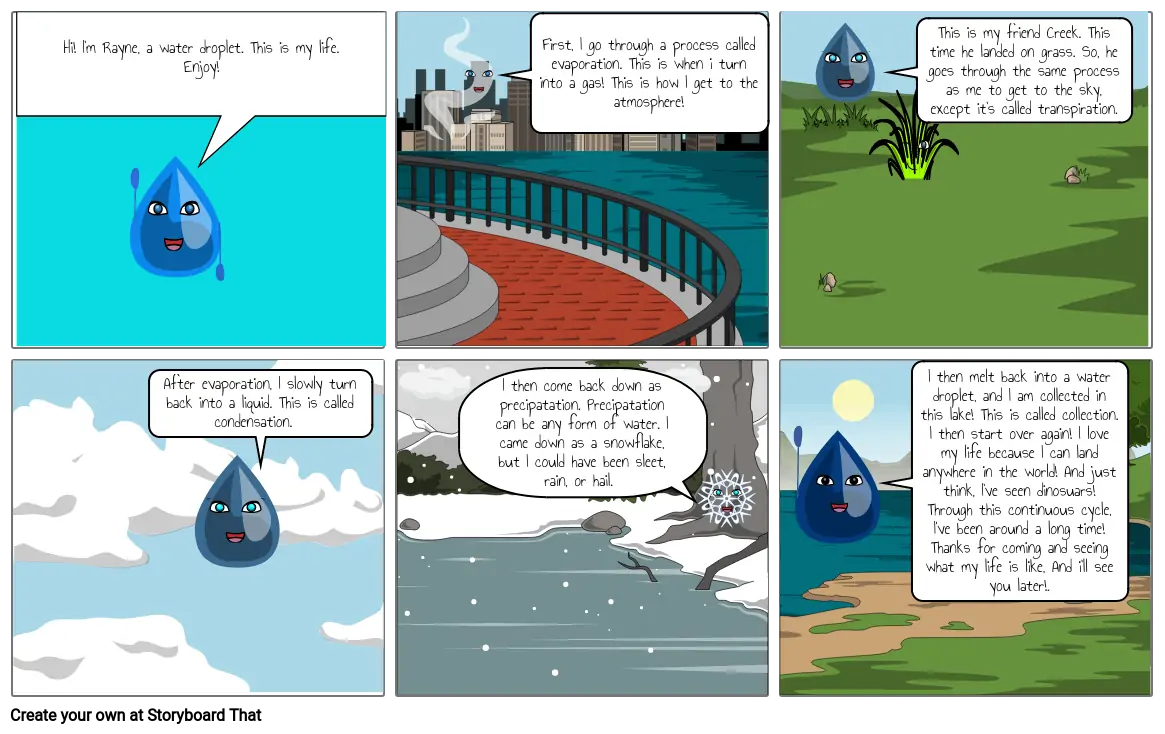 The water cycle