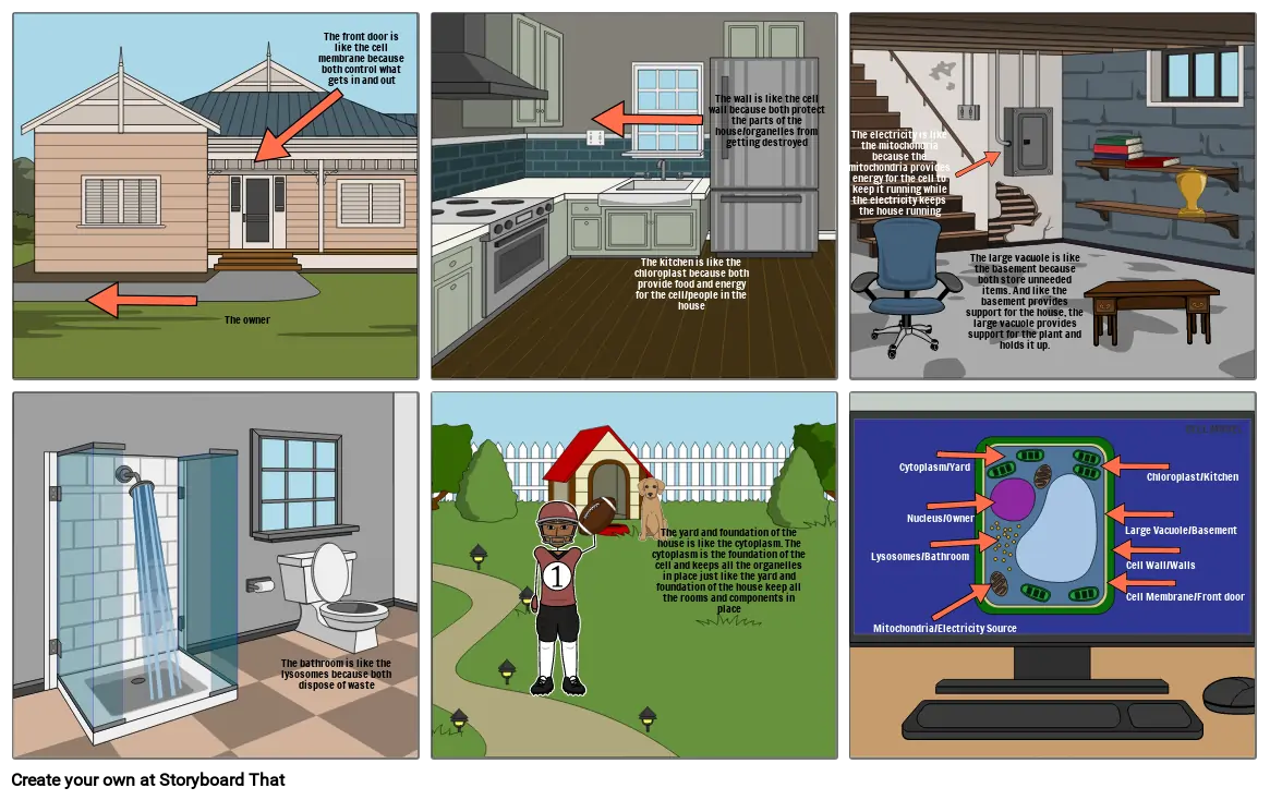 Cell analogy project