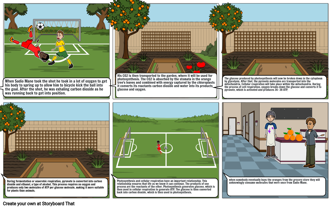 Cell energy storyboard project (Sadio Mane) by: Lucas Myrick