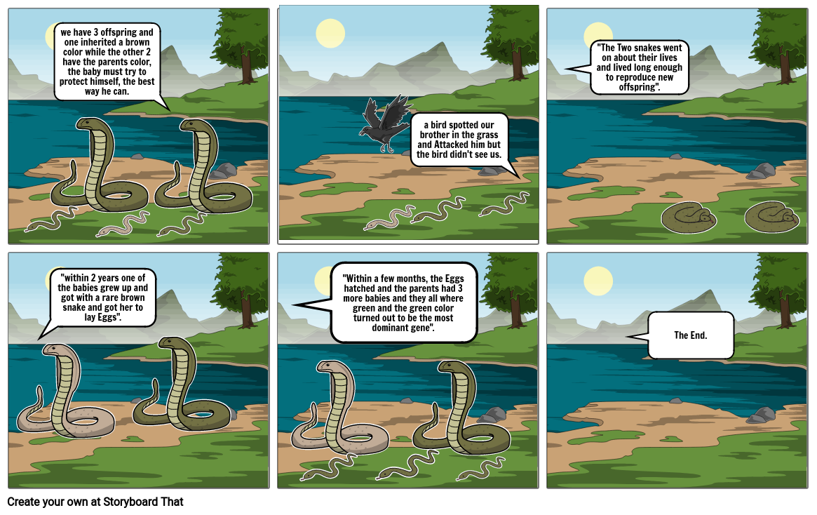 natural selection comic strip assignment