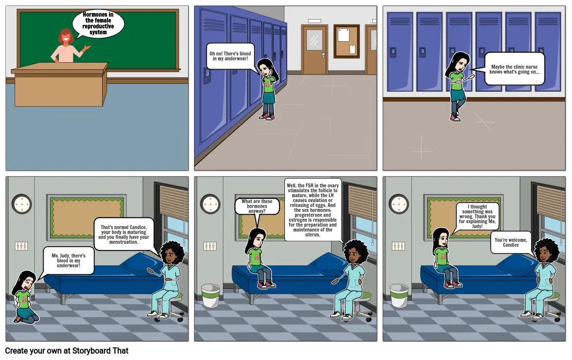 Hormones in the Female Reproductive System