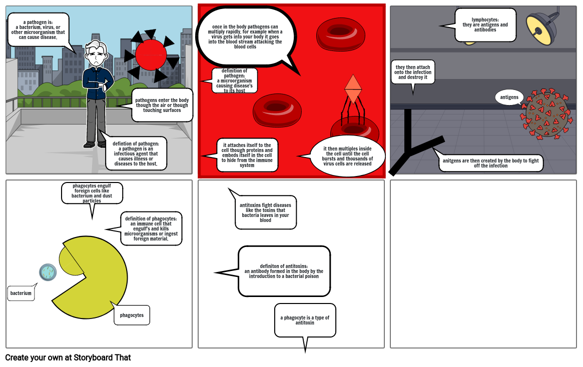 the-role-of-white-blood-cells-storyboard-by-549b98a1