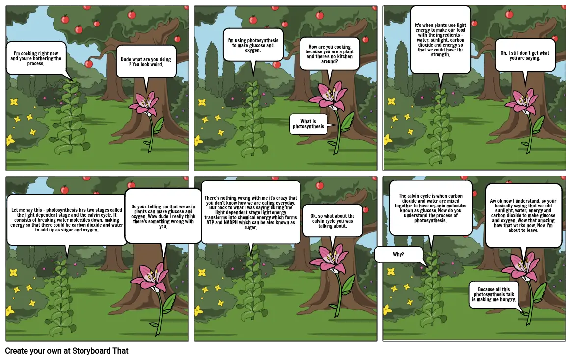 Photosynthesis comic strip