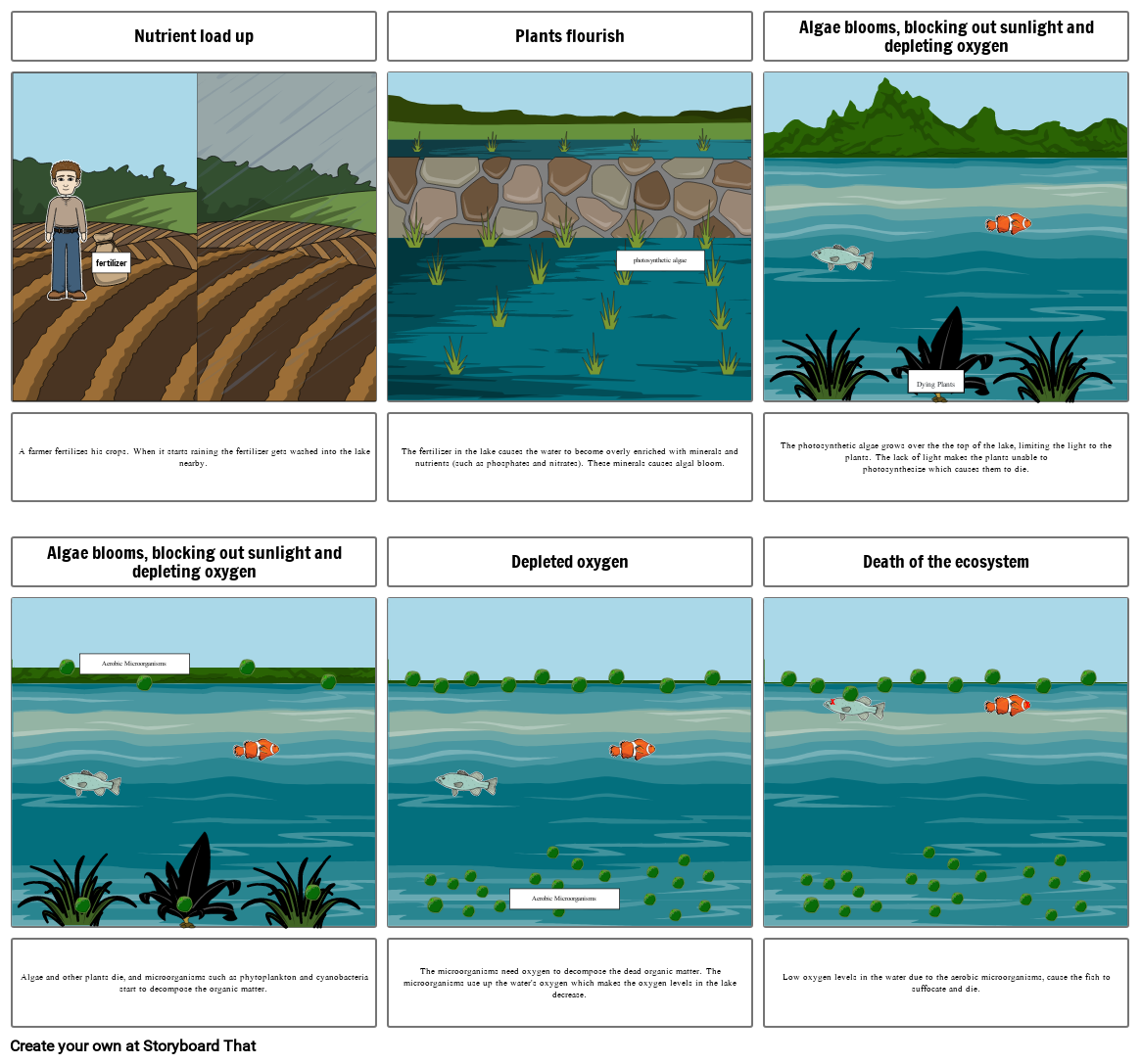 Eutrophication comic strip - miled safar Storyboard